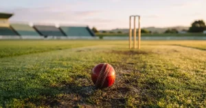 Cricket Betting in New Zealand 2026 — Legal Options, Odds & Top Sites